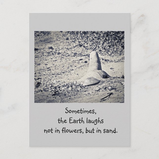 Postal ¿Qué pasa en la playa? (Anverso)