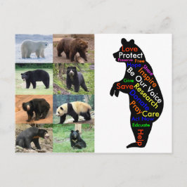 Postal ¿Qué puede usted hacer para ayudar?