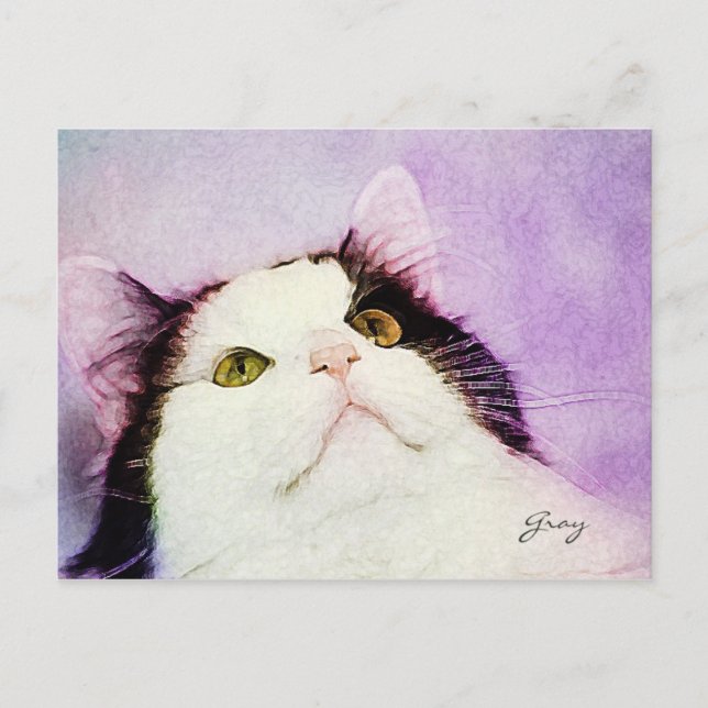 Postal ¿Qué Ratón? (Anverso)