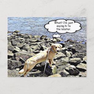Postal ¿Qué? Solo voy a saludar a la langosta