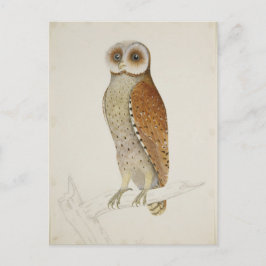 Postal ¿Qué tal ahora Bay Owl?