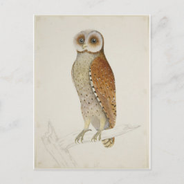 Postal ¿Qué tal ahora Bay Owl?