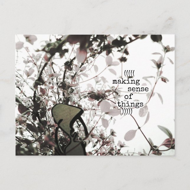 Postal ((((que tiene sentido de las cosas)))) (Anverso)