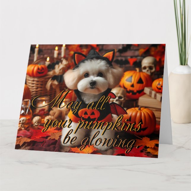 Postal "Que todas tus calabazas estén brillando" (Anverso)