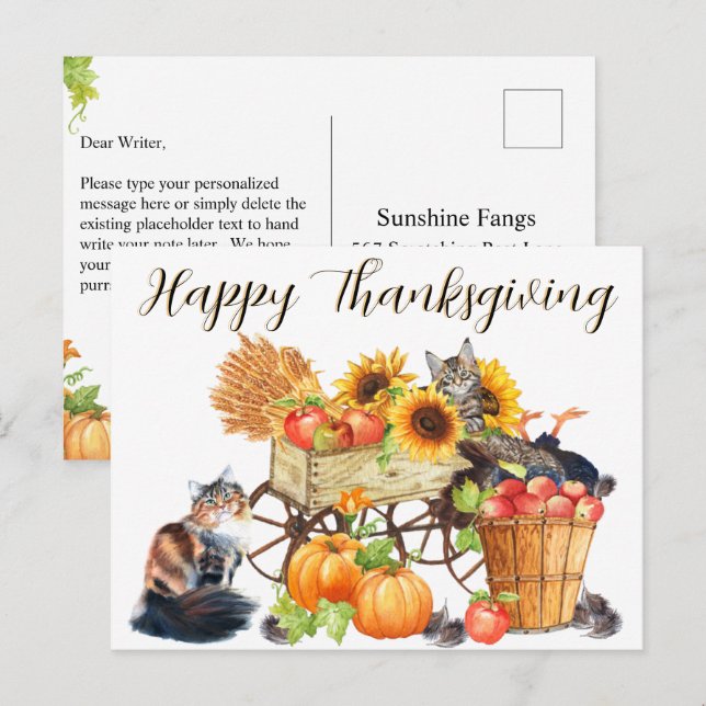 Postal ¿Qué Turquía? Gatos inocentes, Acción de Gracias F (Anverso / Reverso)