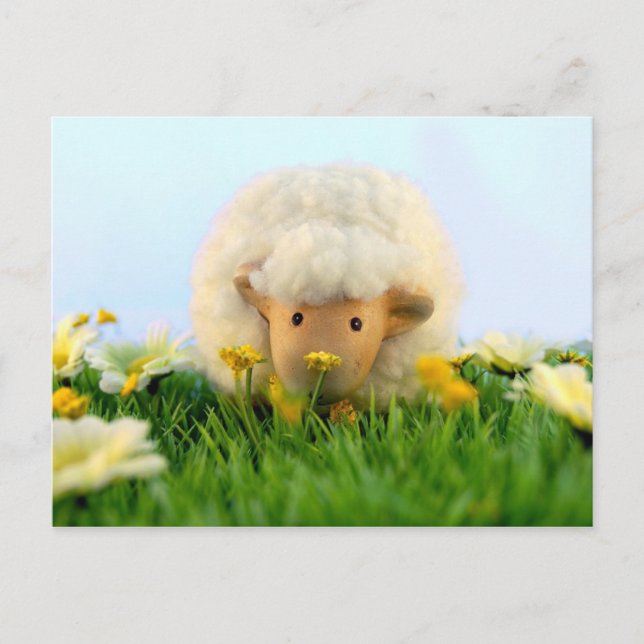 Postal ¡Qué vergonzoso! (Anverso)