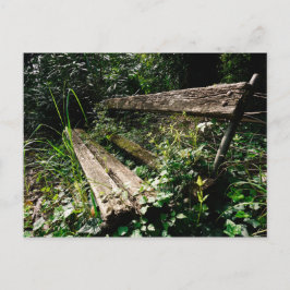 Postal Quédate un rato