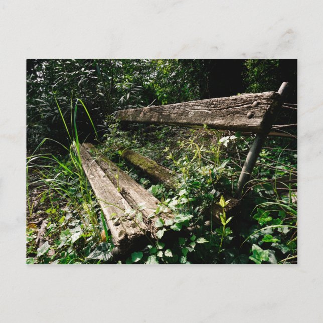 Postal Quédate un rato (Anverso)