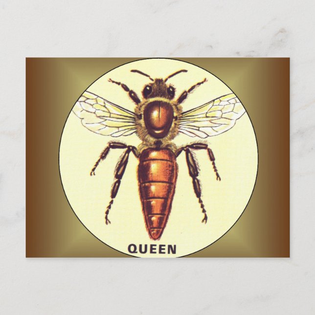 Postal Queen Bee (Anverso)