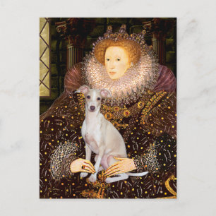 Postal Queen - Galgo Italiano 7