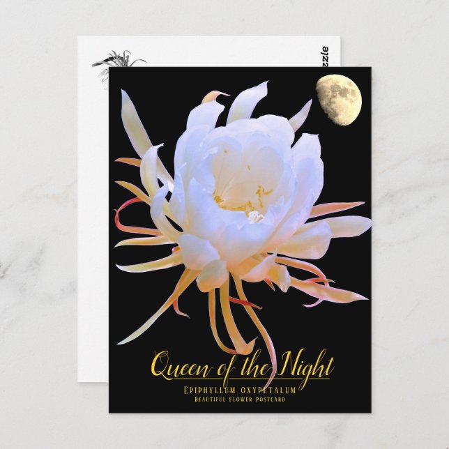 Postal Queen of the Night (Anverso / Reverso)