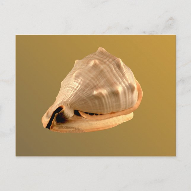 Postal Queens Helmet (Anverso)