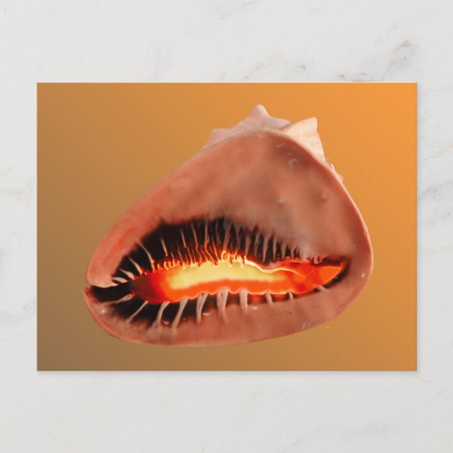 Postal Queens Helmet (Anverso)