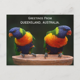 Postal Queensland Rainbow Lorikeets Australia Postcard