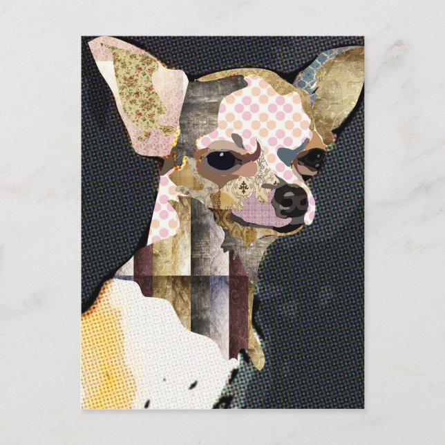 Postal ¿Quem não ama Chiuaua? (Anverso)