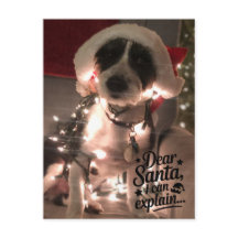 Querido Santa, puedo explicarlo (perro)