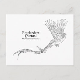 Postal Quetzal resplandeciente