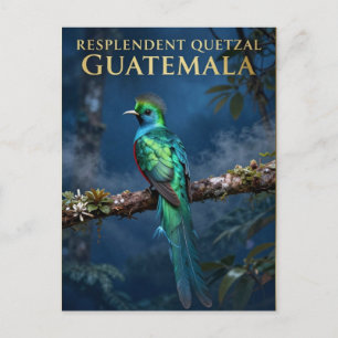 Postal 🐦 Quetzal Resplandeciente Bosque Nuboso de Guatem