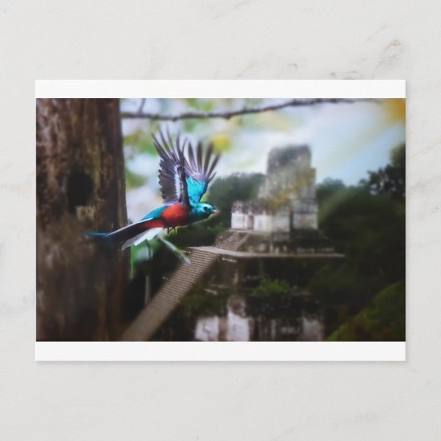Postal Quetzel en Tikal (Anverso)