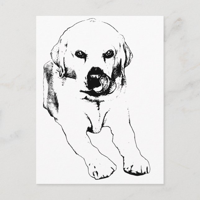 Postal Quick hello from a Lab (Anverso)