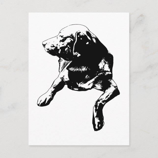 Postal Quick Hello, Side-Turn Lab (Anverso)