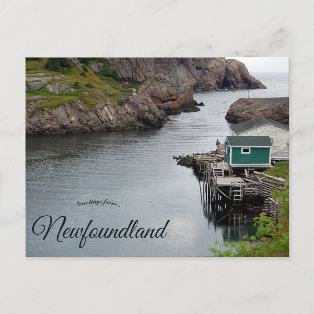 Postal Quidi Vidi Terranova Canadá (Anverso)