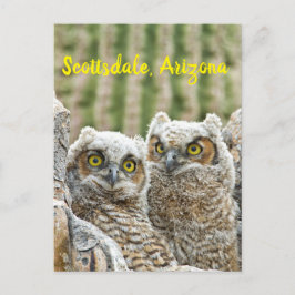 Postal ¿Quién está ahí? Pareja de Owl's Scottsdale, Arizo