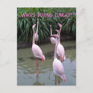 Postal ¿Quién está comprando el almuerzo?