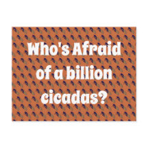 ¿Quién le teme a un billón de cigarras?