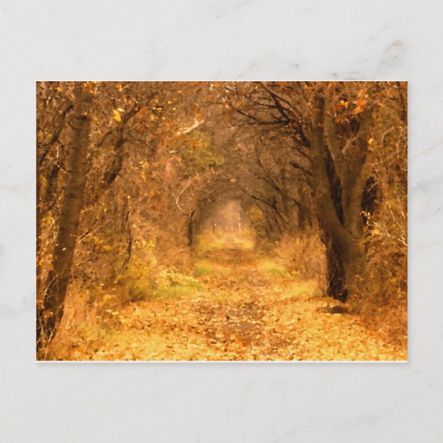 Postal ¿Quién Sabe A Dónde Lleva El Camino? (Anverso)