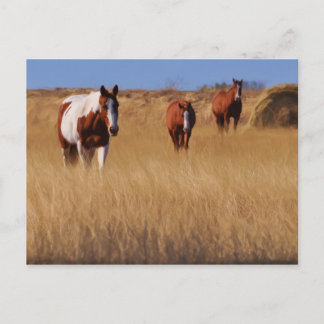 Postal ¿Quiénes sois?