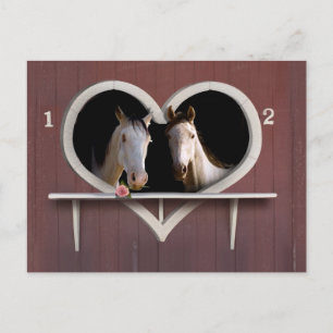 Postal ¿Quieres Caballo?