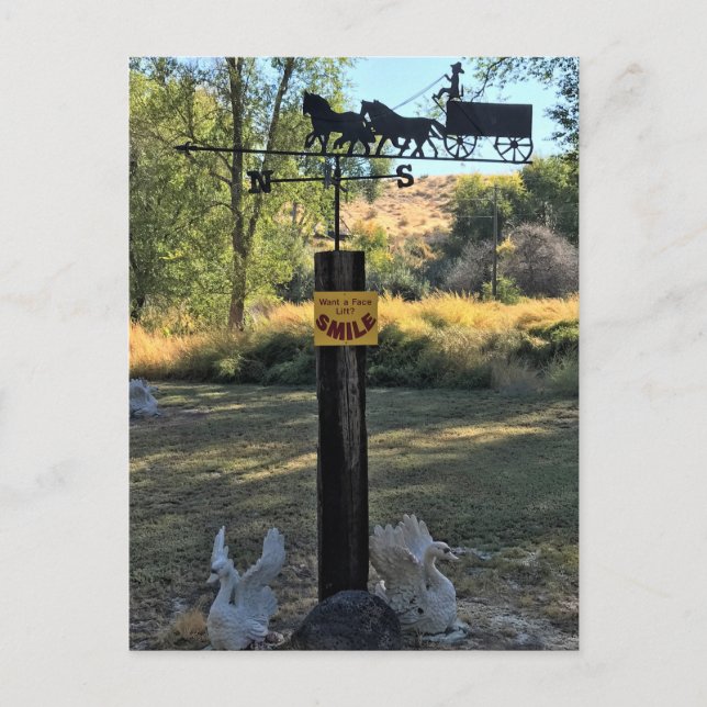 Postal Quieres un Rótulo fácil, sonriente y gracioso (Anverso)