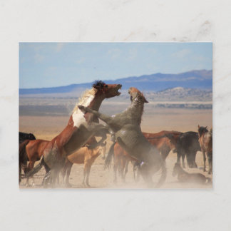 Postal ¿Quieres Una Pieza De Mí?