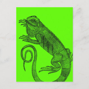 Postal Quiero Iguana