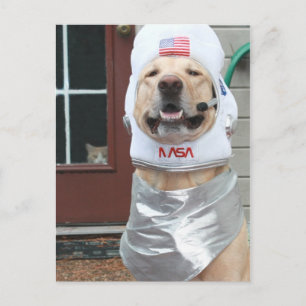 Postal Quiero tomar fotos