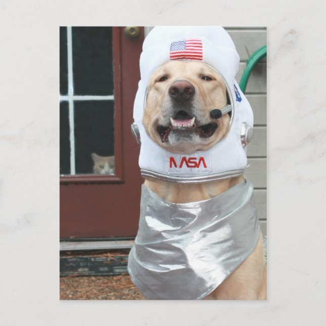 Postal Quiero tomar fotos (Anverso)