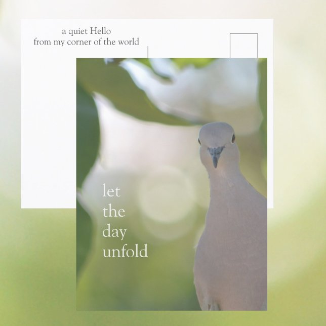 Postal Quiet Bird Moment – Let the Day Unfold Dove (Subido por el creador)