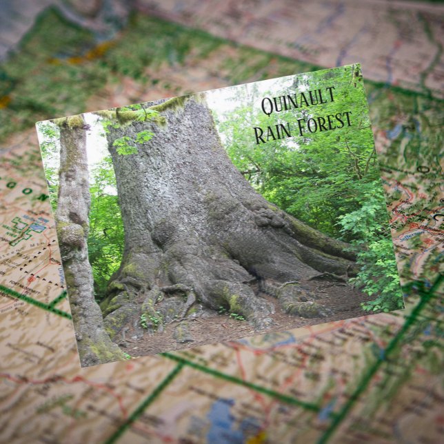 Postal Quinault Rain Forest Travel Photo (In Situ Map)