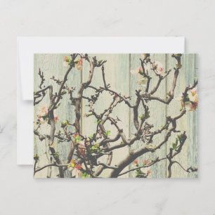 Postal Quince japonés