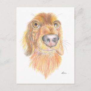 Postal Quirky dachshund