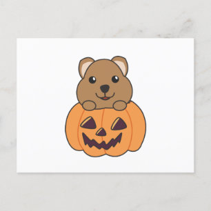 Postal Quokka en calabaza Cute Quokkas Feliz Halloween