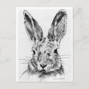 Postal Rabbit