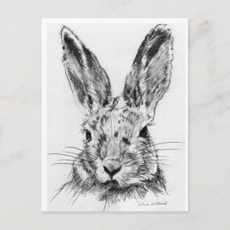 Postal Rabbit