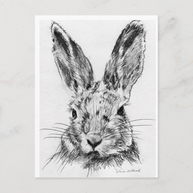 Postal Rabbit (Anverso)