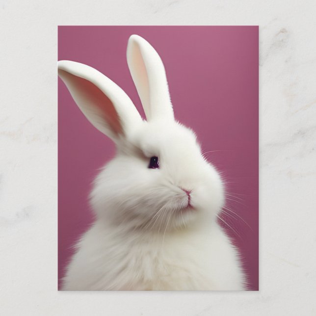 Postal Rabbit blanco adorable (Anverso)