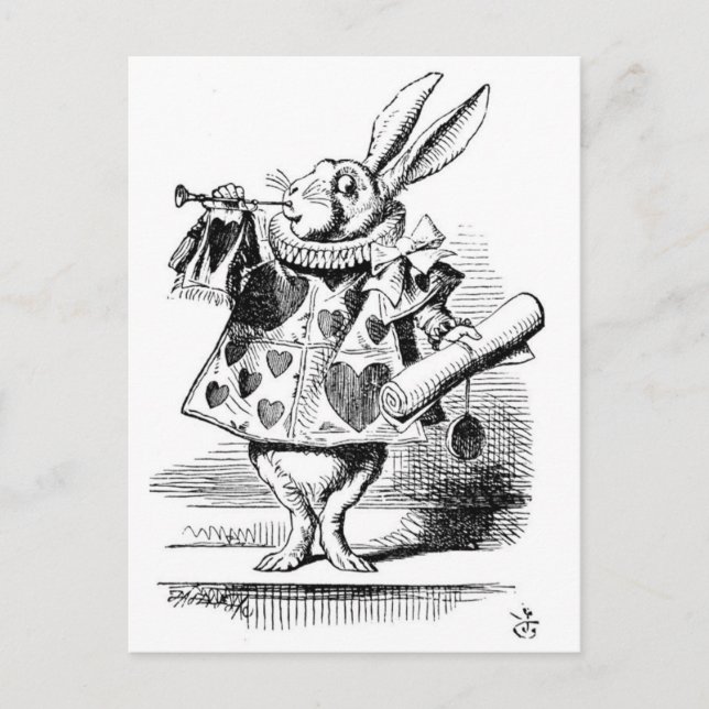 Postal Rabbit blanco como heraldo (Anverso)
