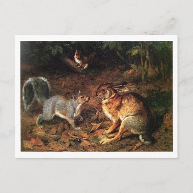Postal Rabbit Meet Squirrel (Anverso)