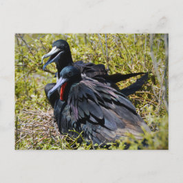 Postal Rabihorcados Magníficos enamorados