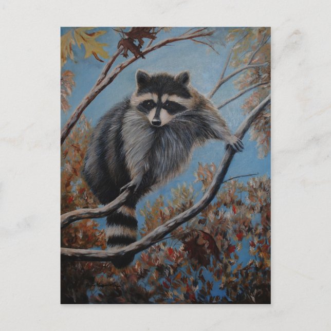 Postal Raccoon (Anverso)